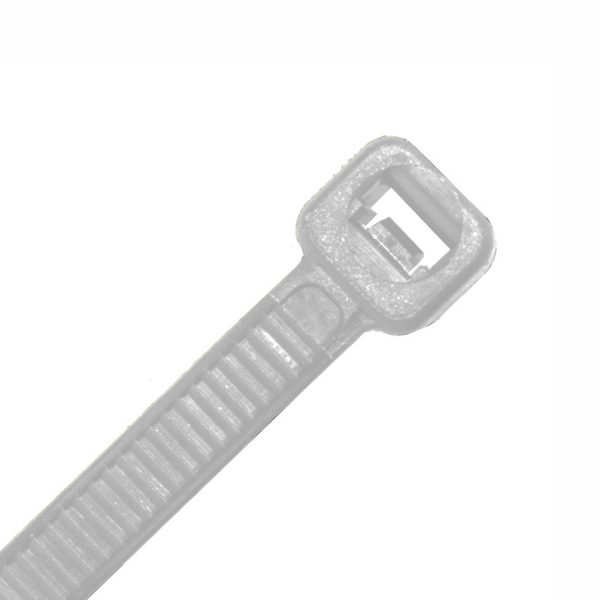 Cable Tie, Nylon UV, Natural, 250mm x 4.8mm